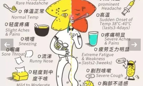 螳螂卵中药-专业螳螂卵中药名平台-螳螂卵治什么病